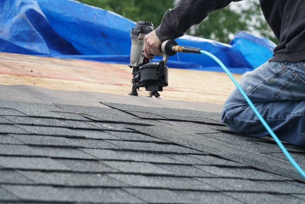 Best Roof Gutter Cleaning  in Niantic, CT